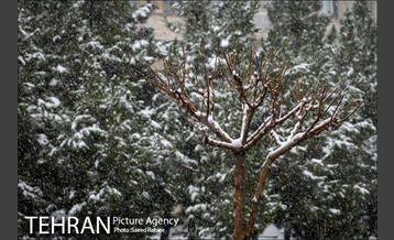 بارش نخستین برف پاییزی در تهران 20