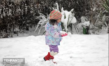 بارش برف در تهران 13