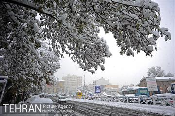 بارش برف در تجریش 9