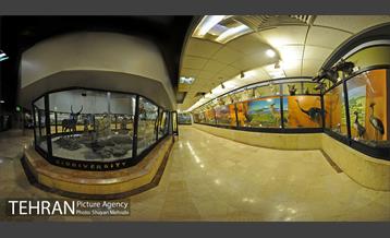 موزه حیات وحش پردیسان 46