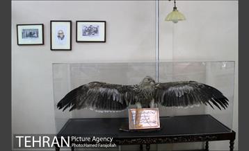 موزه صنعت برق ایران‎ 3