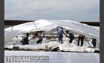 روزهای پایانی پروژه ی مجموعه نمایشگاهی شهر آفتاب 29