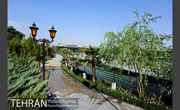 دریاچه و باغ هنر 45