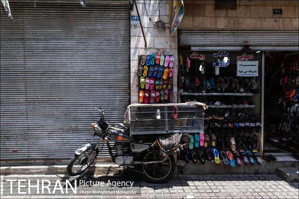 شهرنگار؛ محله عودلاجان 14