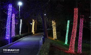 جشنواره «نور در یلدای ایرانی» در بوستان ملت 10