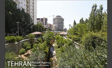 بوستان تندرستی 12