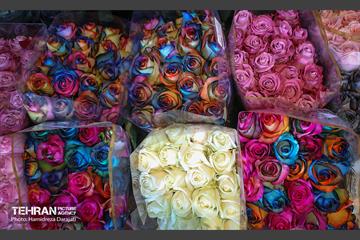 بازار گل محلاتی  43