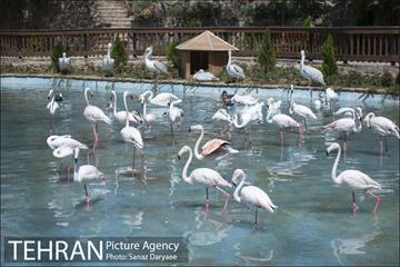 تور بازدید خبرنگاران از فاز دوم باغ پرندگان‎ 24