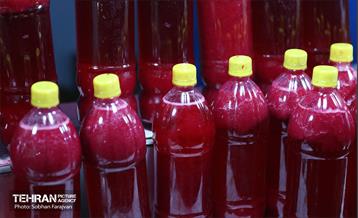 دوازدهمین جشنواره انار  19