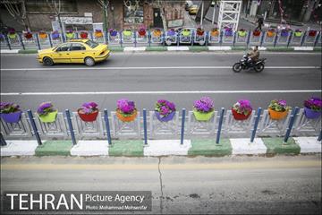 استقبال از بهار در خیابانهای تهران 24