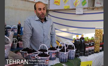 دومین جشنواره شاتوت دردهستان سولقان 2