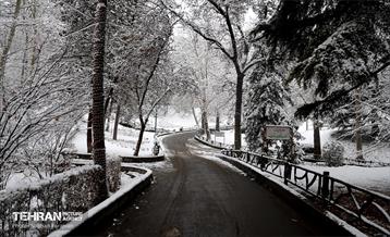 صبح برفی بوستان ملت 1