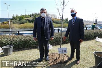مراسم کاشت درخت صلح و دوستی 1