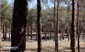 بازدید اصحاب رسانه از روند انجام عملیات احیای چیتگر 12