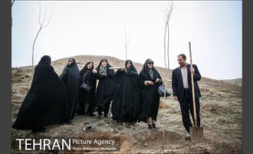 آئین کاشت نهال در بوستان جنگلی سرخه حصار 20