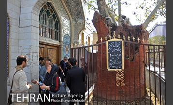 بازدید جمعی از  هنرمندان از نقاط گردشگری منطقه 12 6