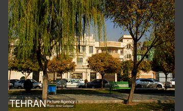 بوستان بنفشه 1