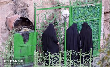 بازدید اعضای شورای شهر از حریم منطقه 20