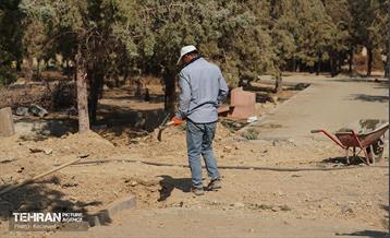 اینجا کارگاهه؛ بوستان گوهرشاد  12